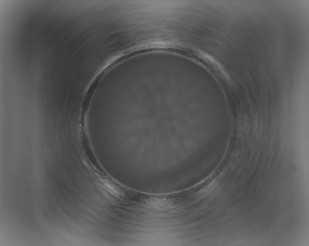 X0000072921170200607211053