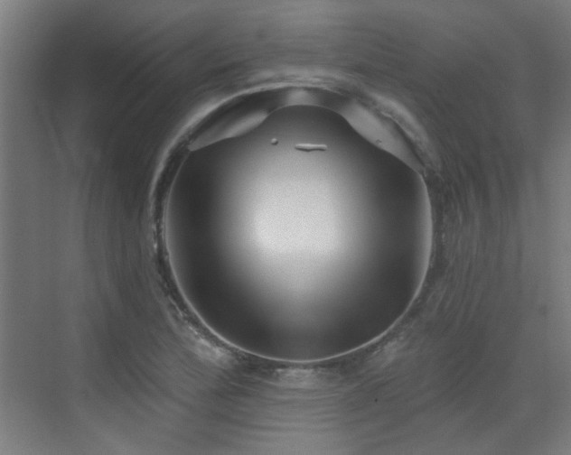 X0000072921172200607211053