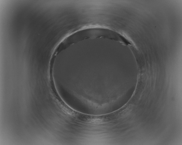 X0000072921173200607211053