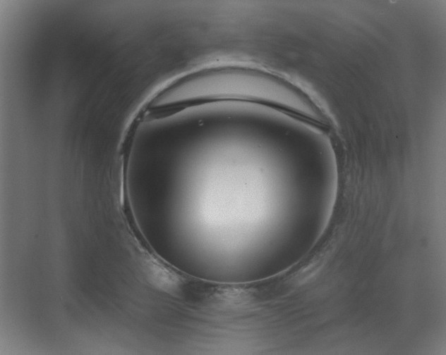 X0000072921175200607211053