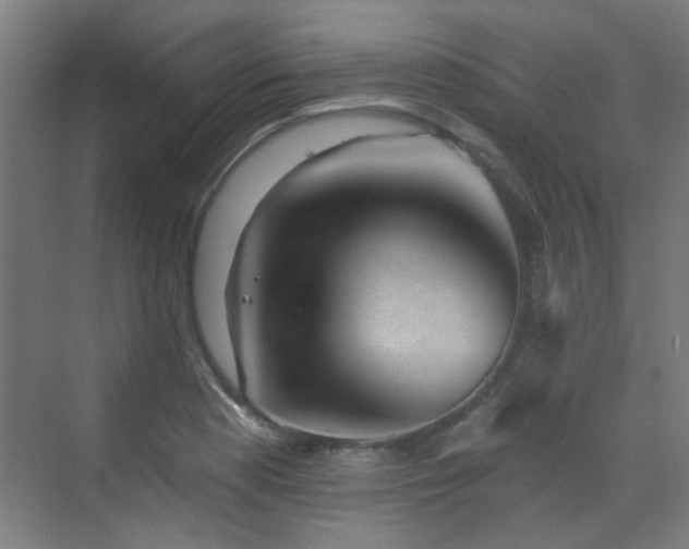 X0000072921177200607211053