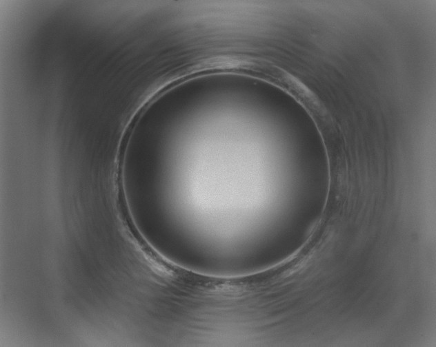 X0000072921178200607211053