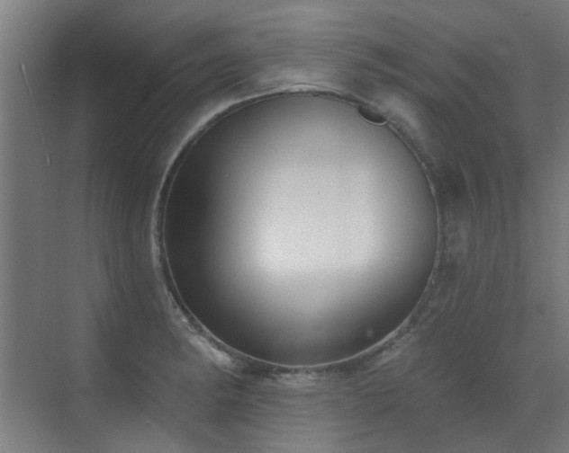 X0000072921182200607211053