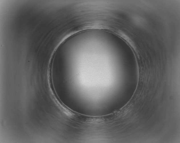 X0000072921187200607211053