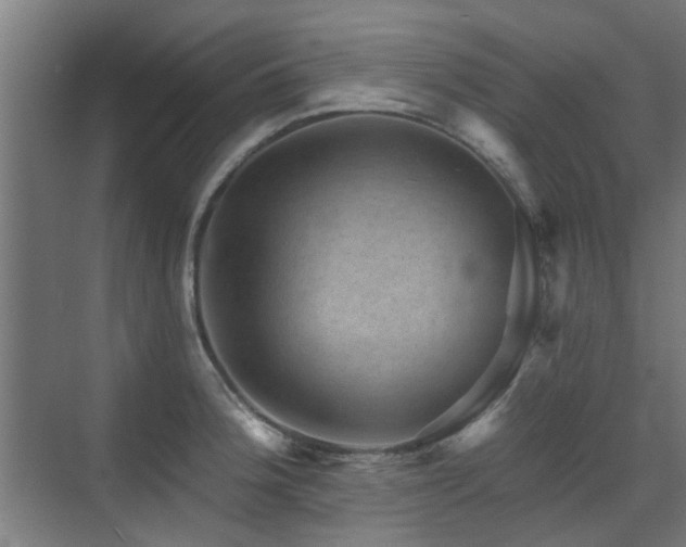 X0000072921188200607211053