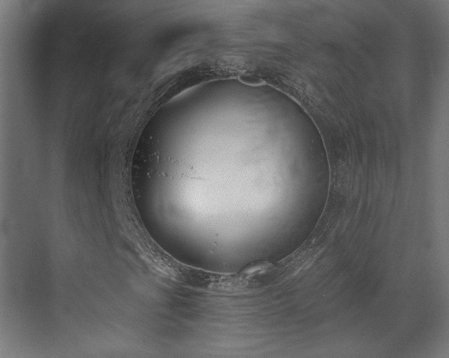 X0000072921201200607211052