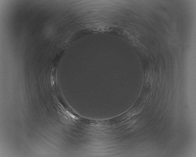 X0000072921202200607211052
