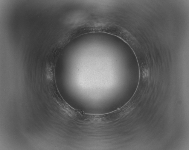 X0000072921204200607211052