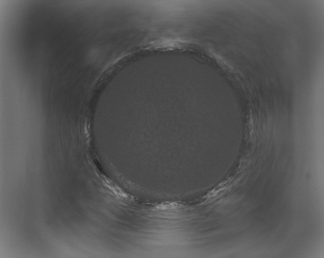 X0000072921206200607211052