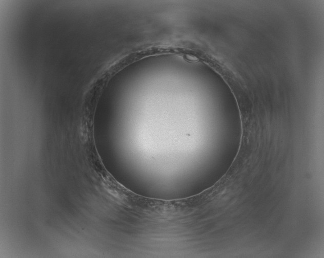 X0000072921207200607211052