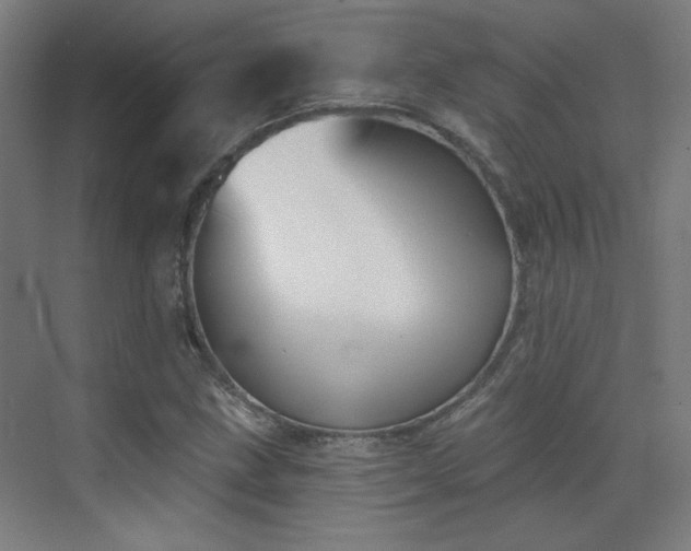 X0000072921211200607211052