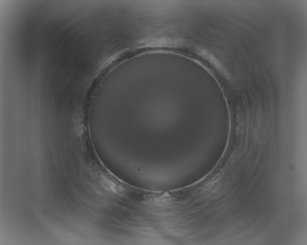 X0000072921213200607211052