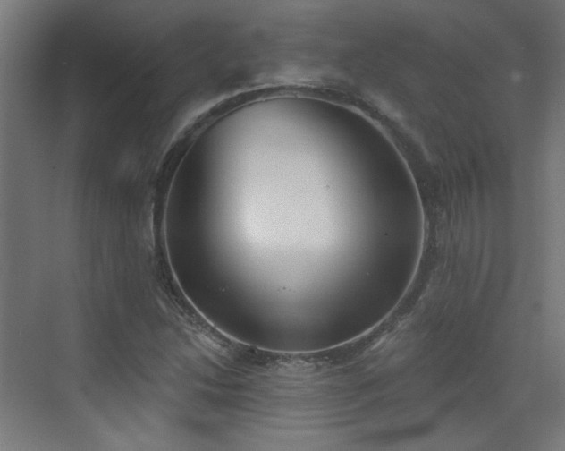 X0000072921214200607211052