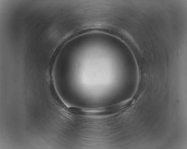 X0000072921218200607211052