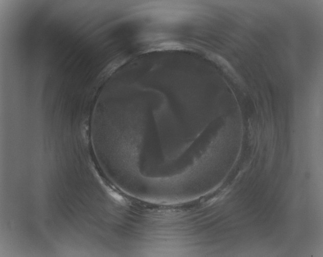 X0000072921225200607211052