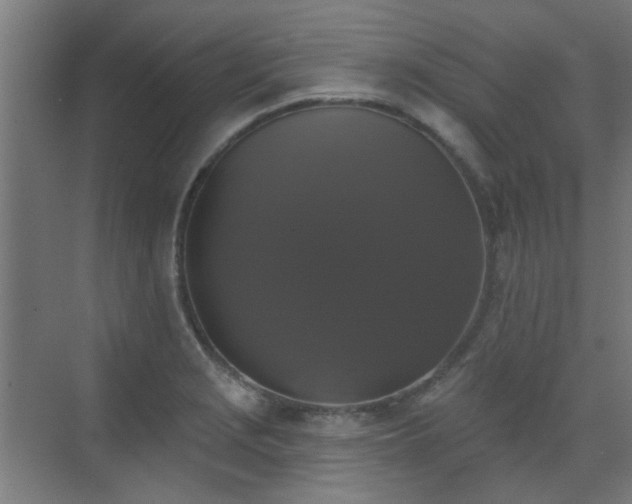 X0000072921229200607211052
