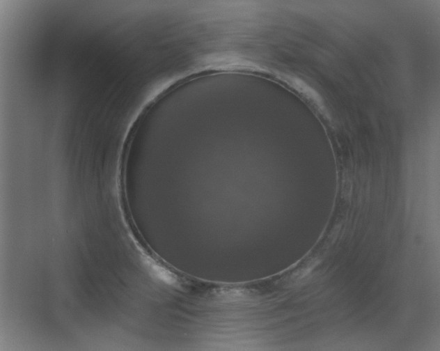 X0000072921231200607211052
