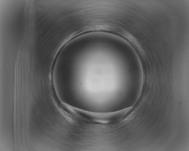 X0000072921234200607211052