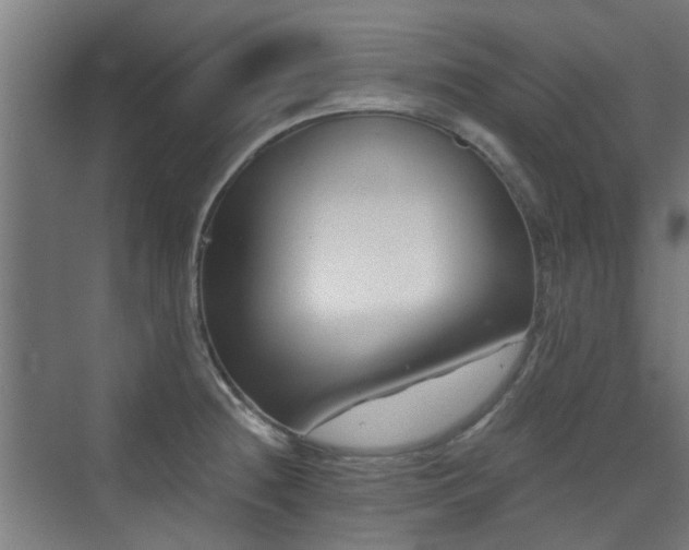 X0000072921236200607211052