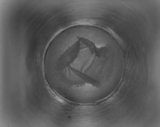 X0000072921240200607211053