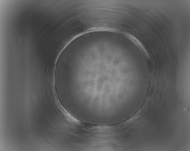 X0000072921244200607211053