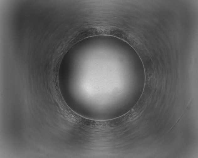 X0000072921249200607211052