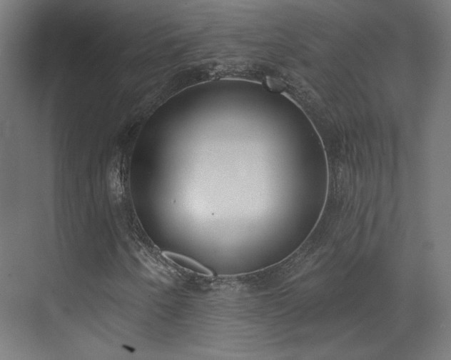 X0000072921250200607211052