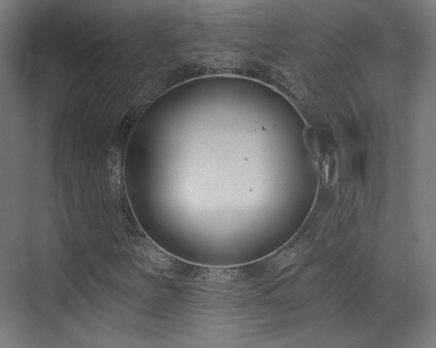 X0000072921251200607211052