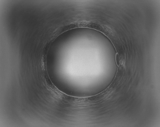 X0000072921252200607211052