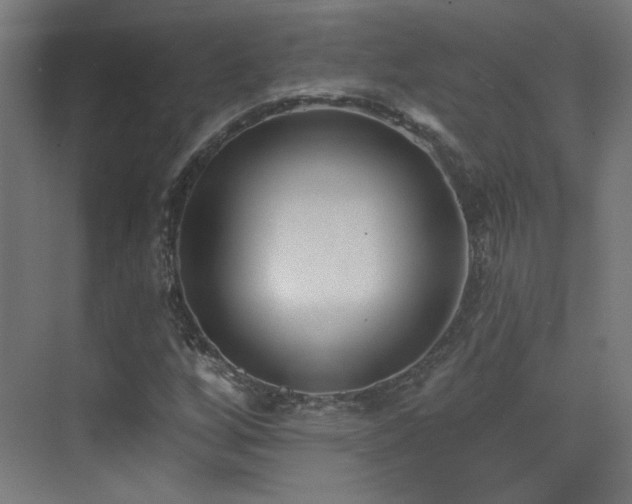 X0000072921256200607211052