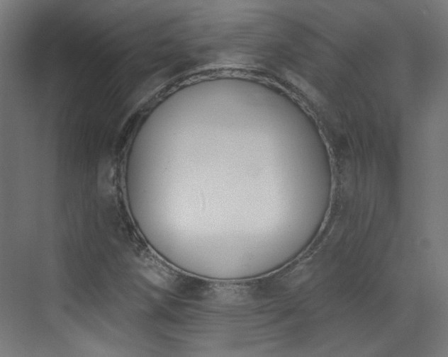 X0000072921258200607211052