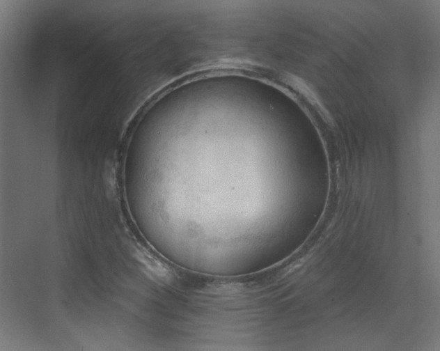 X0000072921260200607211052