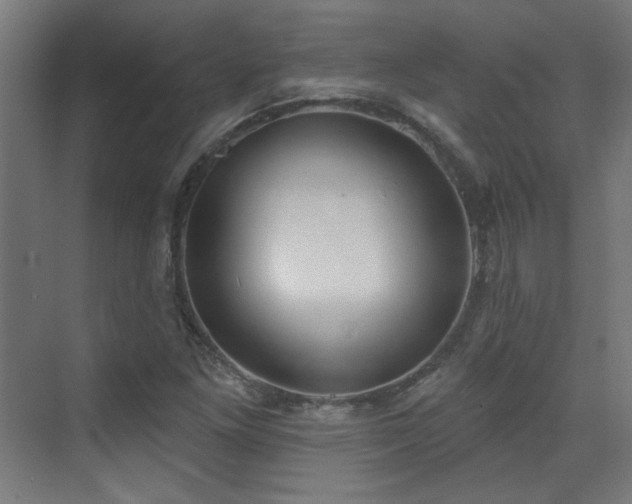 X0000072921261200607211052