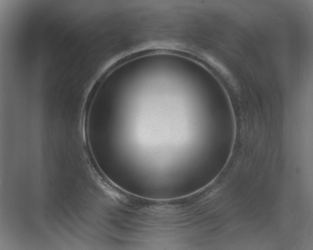 X0000072921272200607211051