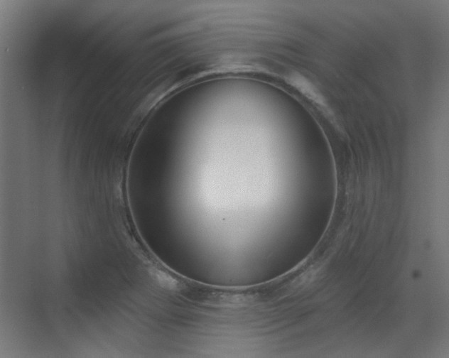 X0000072921273200607211051