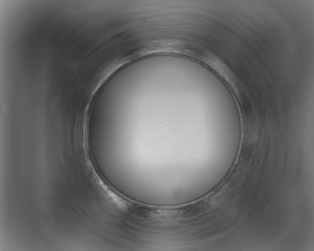 X0000072921290200607211051