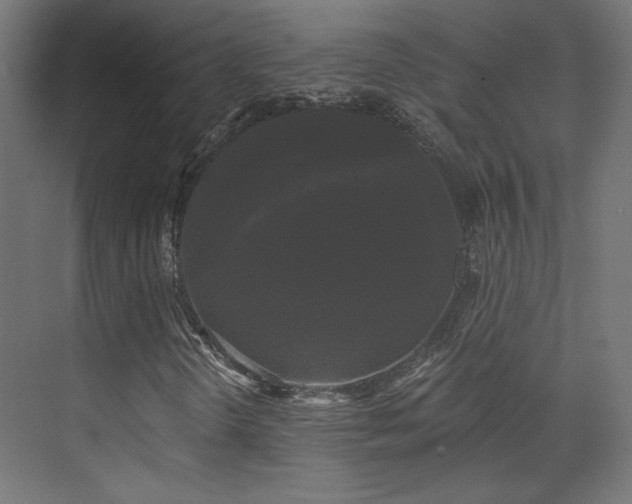 X0000072921298200607211050