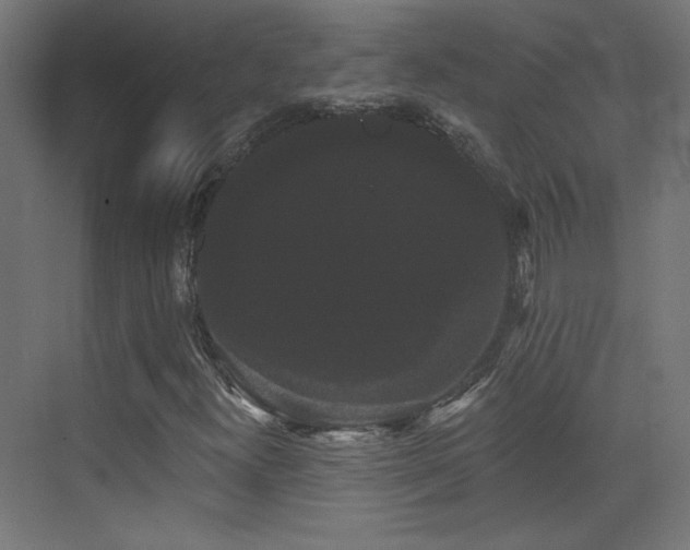 X0000072921300200607211050