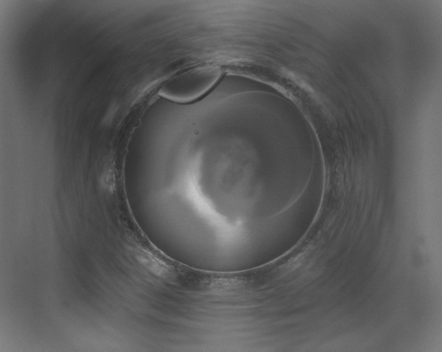 X0000072921306200607211050