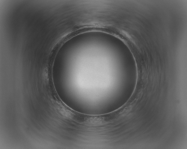 X0000072921307200607211050