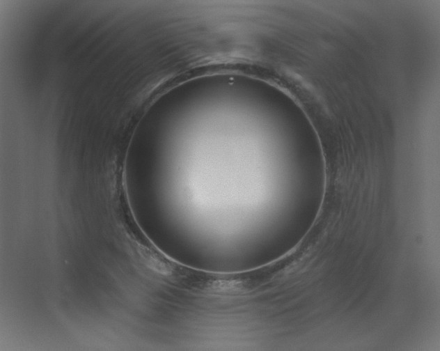 X0000072921313200607211051