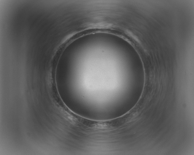 X0000072921315200607211051