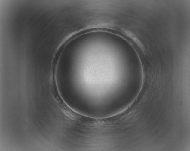 X0000072921316200607211051