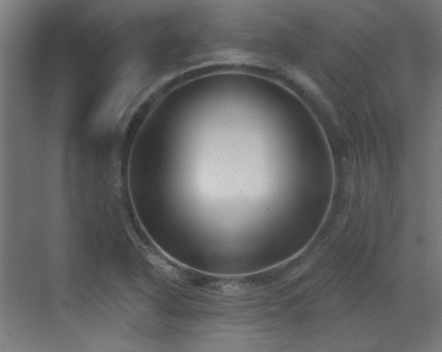 X0000072921318200607211051
