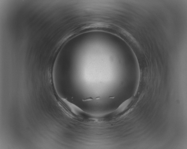 X0000072921321200607211051