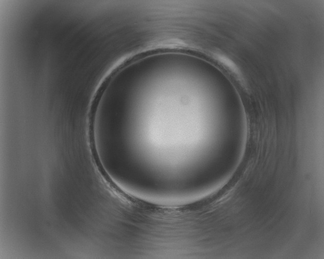 X0000072921326200607211051