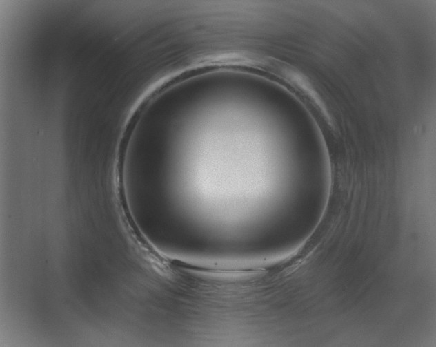 X0000072921328200607211051