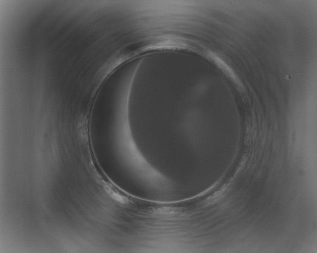 X0000072921329200607211051
