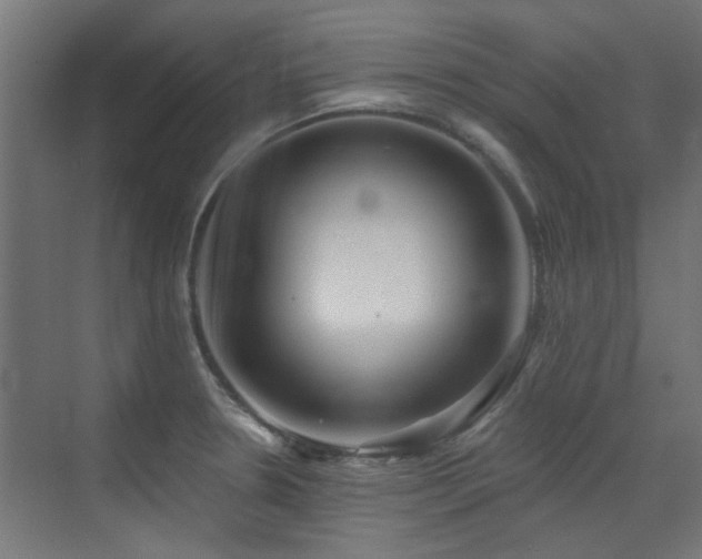 X0000072921330200607211051