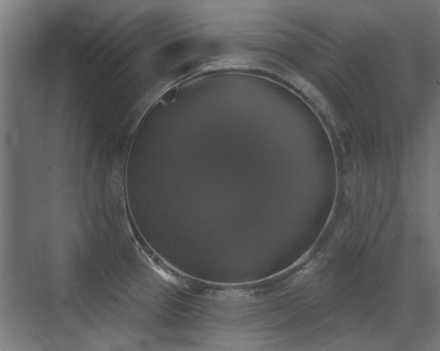 X0000072921337200607211051